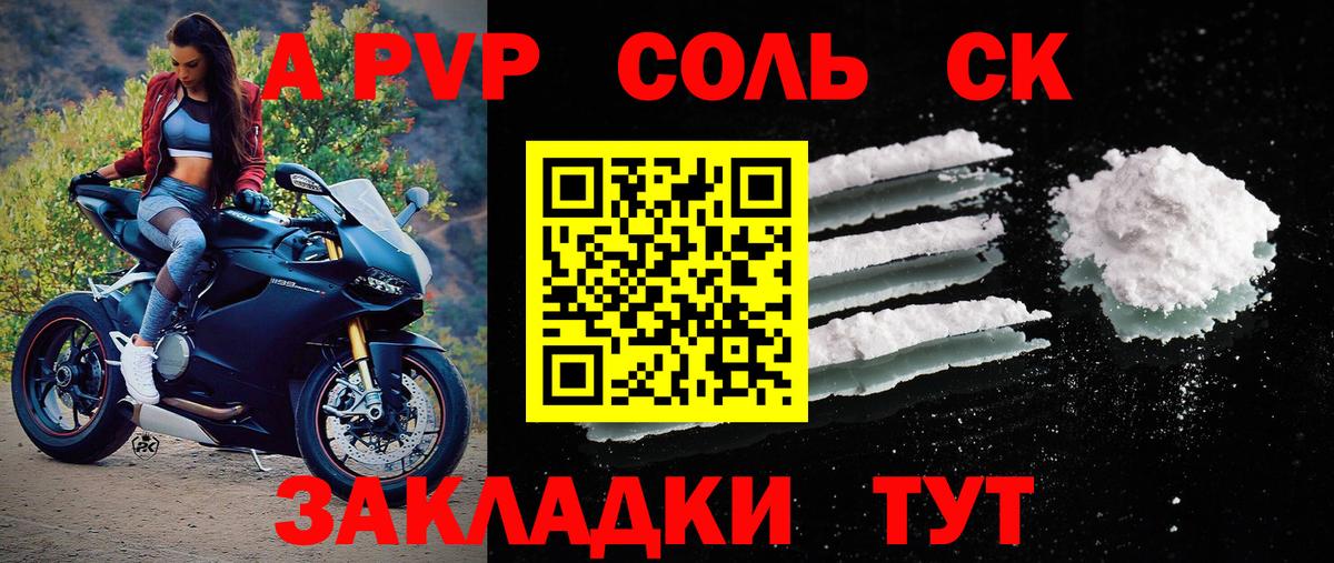 A PVP СК Норильск