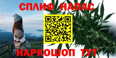 мдпв Кинель