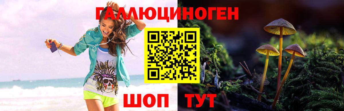 Галлюциногенные грибы прущие грибы  Вход с VPN  Норильск 